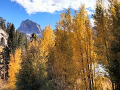 Fall-Color-In-Bishop-Creek-Canyon-Near-Bishop-CA-21
