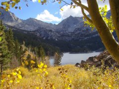 Fall-Color-In-Bishop-Creek-Canyon-Near-Bishop-CA-24