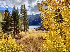 Fall-Color-In-Bishop-Creek-Canyon-Near-Bishop-CA-23
