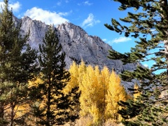 Fall-Color-In-Bishop-Creek-Canyon-Near-Bishop-CA-27
