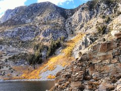 Fall-Color-In-Bishop-Creek-Canyon-Near-Bishop-CA-28
