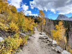 Fall-Color-In-Bishop-Creek-Canyon-Near-Bishop-CA-30