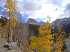 Fall-Color-In-Bishop-Creek-Canyon-Near-Bishop-CA-31