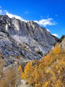 Fall-Color-In-Bishop-Creek-Canyon-Near-Bishop-CA-36