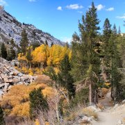 Fall-Color-In-Bishop-Creek-Canyon-Near-Bishop-CA-37