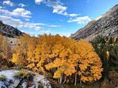 Fall-Color-In-Bishop-Creek-Canyon-Near-Bishop-CA-40