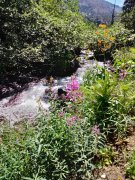 Five-Lake-Hike-in-John-Muir-Wilderness-01