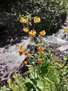 Five-Lake-Hike-in-John-Muir-Wilderness-02