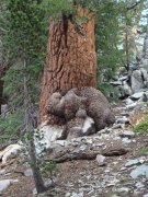 Five-Lake-Hike-in-John-Muir-Wilderness-48