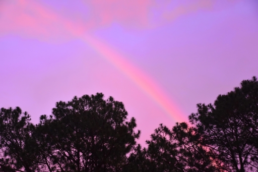 Dale's Rainbow - 2- - DSC_2215