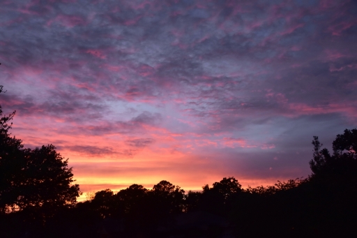 Dale's Sunset - 3 - DSC_2224