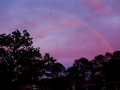 Rainbow over Homes - IMG_8830