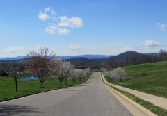 Bridgewater - IMG_8512