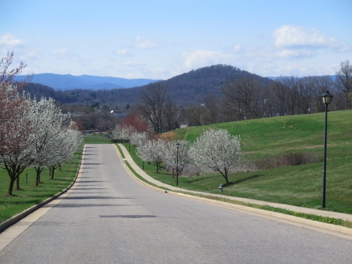 Bridgewater - IMG_8514