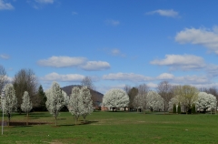 Bridgewater - IMG_8531