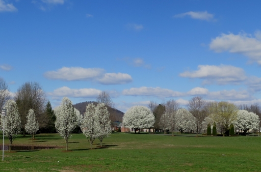 Bridgewater - IMG_8531