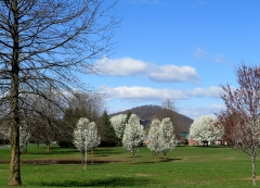 Bridgewater - IMG_8532