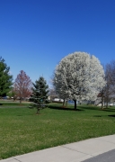 Bridgewater - IMG_8535