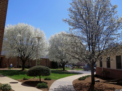 Bridgewater Retirement Community - IMG_8555
