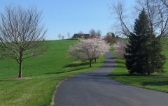 VA Landscape - IMG_8525