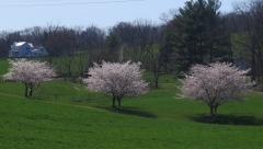 Va landscape - cropped - _8522