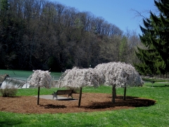 Wildwood Park - IMG_8431