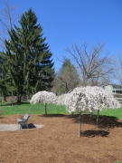 Wildwood Park - IMG_8436