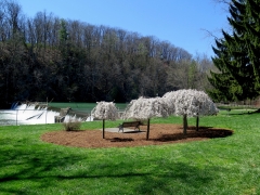 Wildwood Park - cropped - IMG_8430