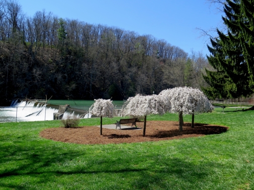 Wildwood Park - cropped - IMG_8430