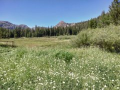 Agnew-Meadows-to-Shadow-Lake-hike-24