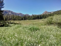 Agnew-Meadows-to-Shadow-Lake-hike-25