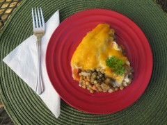 1-lentil-pie-slice