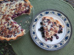 1-sour-cream-blueberry-struesel-pie