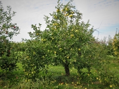 IMG_7005 (2)