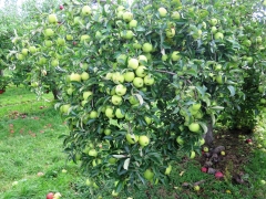 IMG_7012 (2)