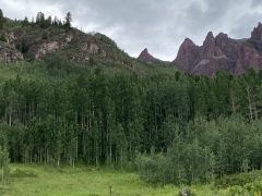 IMG_4925-1-aspens