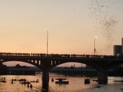 1_Bats-cover-IMG_20190906_195506836_HDR