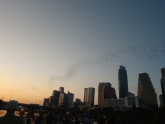 IMG_20190906_195332511