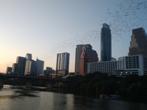 IMG_20190906_195455633