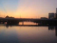 IMG_8696-1