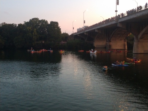 bats-3IMG_20190906_195732639