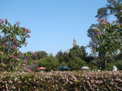 Balboa-Park-Spring-Colors-02-California-Tower