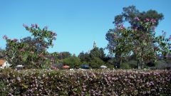 Balboa-Park-Spring-Colors-03-California-Tower