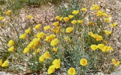 Baldwin-Lake-Ecological-Reserve-02