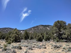 Baldwin-Lake-Ecological-Reserve-04