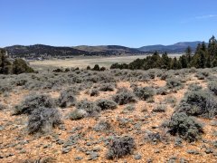 Baldwin Lake Ecological Reserve