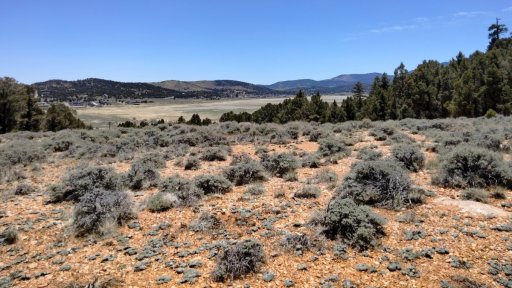 Baldwin-Lake-Ecological-Reserve-05