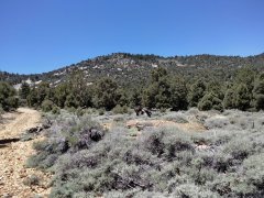 Baldwin-Lake-Ecological-Reserve-13