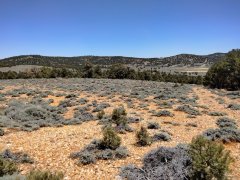 Baldwin-Lake-Ecological-Reserve-17