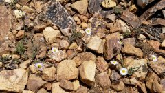 Baldwin-Lake-Ecological-Reserve-20